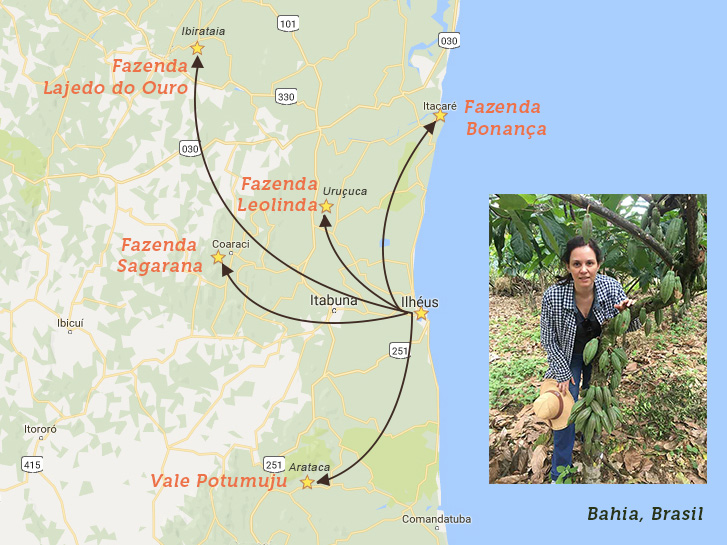 mapa para fazendas de cacau na Bahia
