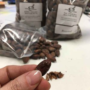 cacau do Chocolate Alchemy (Peru, Equador e Vietnam)